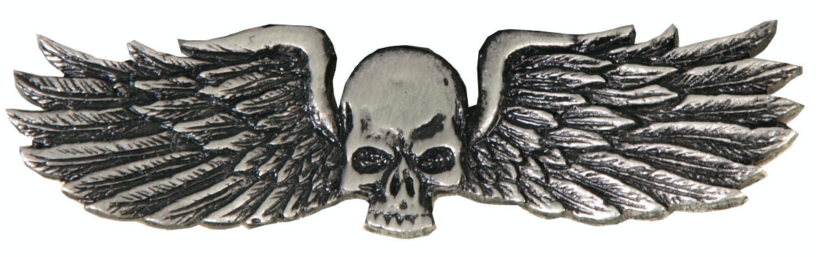 Metal Wings Pin